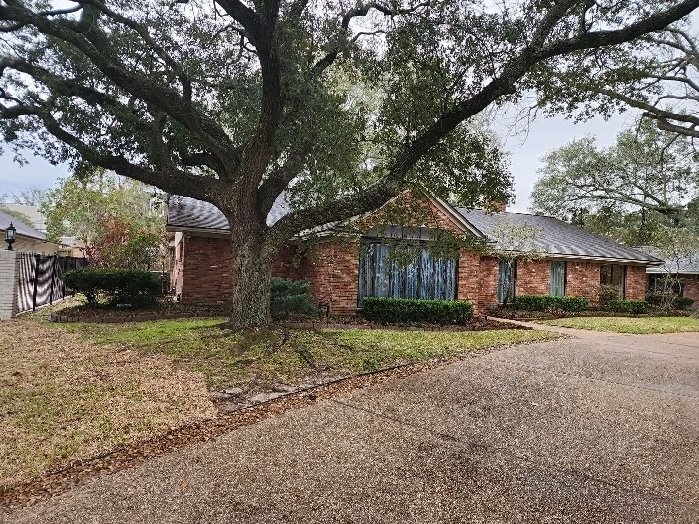 Red brick house with green shutters and a large leafy tree at left before elevation