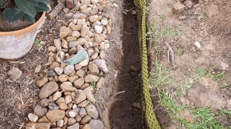 a garden with rocks and plants in it