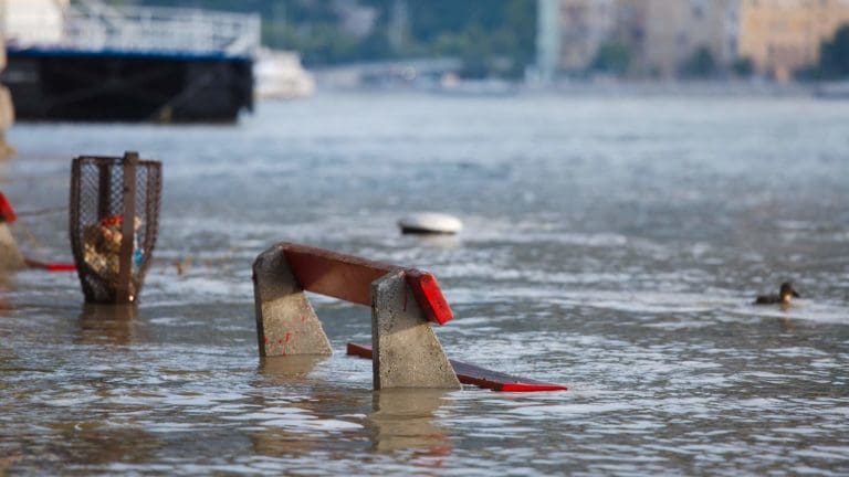 the water is very high and there are ducks swimming in it