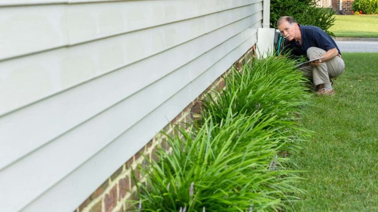 a man kneeling down next to a green plant