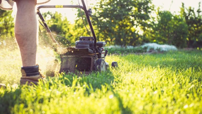 a man is mowing the grass with a lawnmower