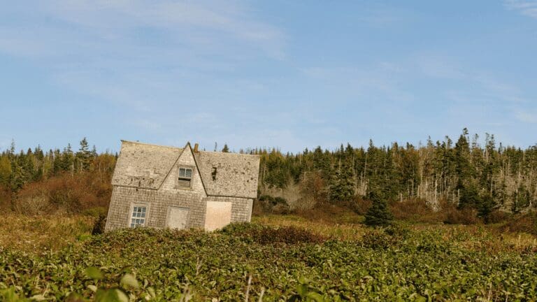 an abandoned house in the middle of a field