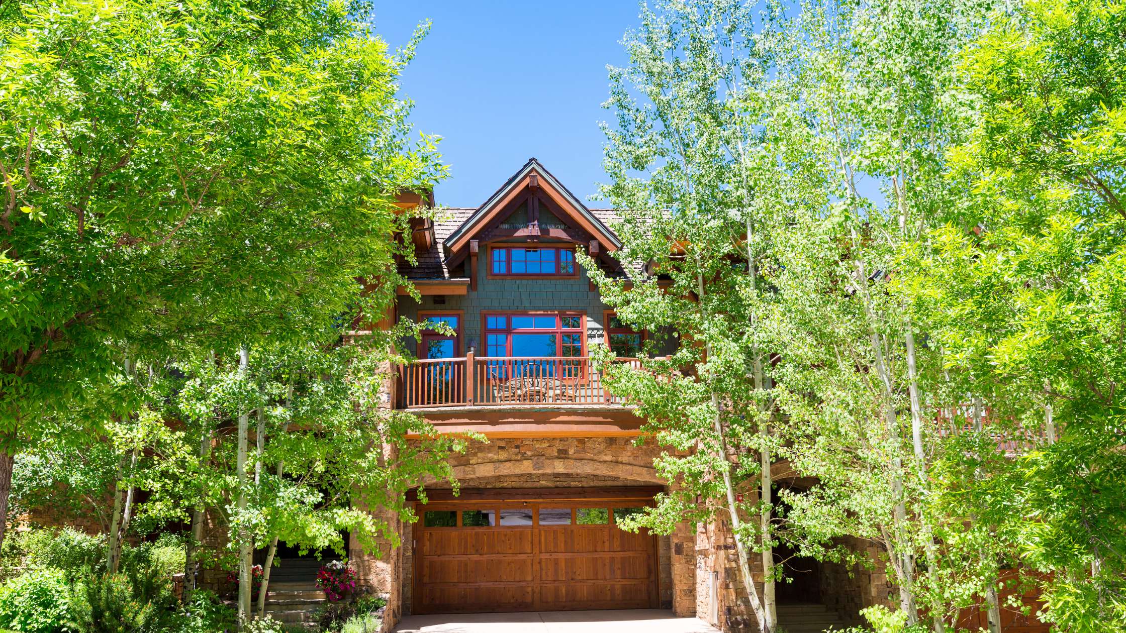 How to Keep Tree Roots from Destroying Your Property Houston