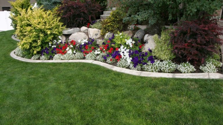 regrading your yard