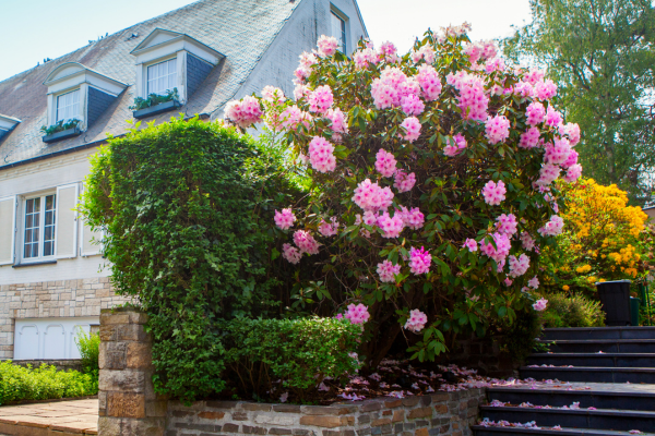 spring landscaping houston tx