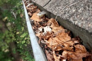 leaves in gutters