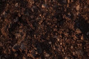 houston soil movement