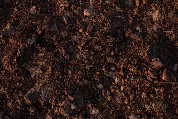 houston soil movement